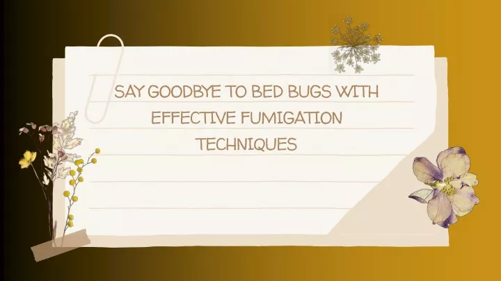 say goodbye to bed bugs with effective fumigation