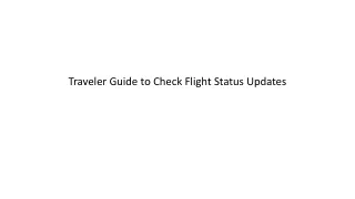 Traveler Guide to Check Flight Status Updates