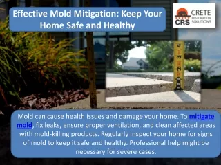 Effective Mold Mitigation: Keep Your Home Safe and Healthy