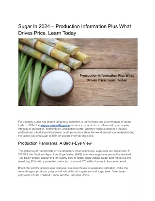 Sugar In 2024 – Production Information Plus What Drives Price