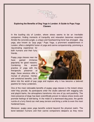 Exploring the Benefits of Dog Yoga in London A Guide to Pups Yoga Classes