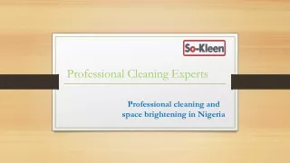 professional cleaning experts