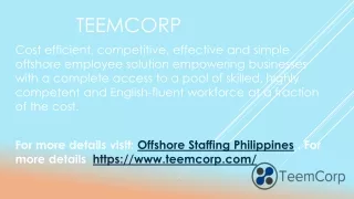 Top Offshore Staffing Services by TeemCorp