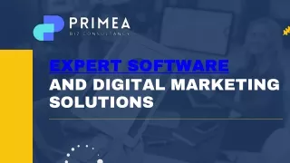 Expert Software and Digital Marketing Solutions