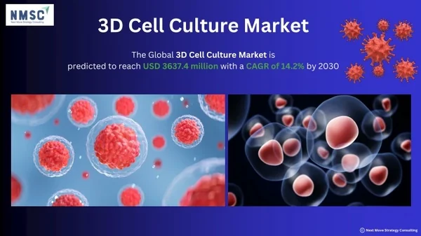 3D Cell Culture Market Insights and Future Outlook