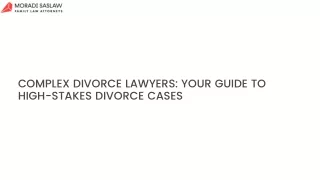 Complex Divorce Lawyers : Your Guide to High-Stakes Divorce Cases (2)