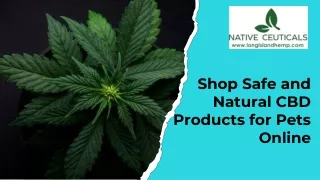 Shop Safe and Natural CBD Products for Pet Online