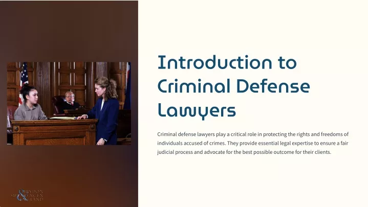 introduction to criminal defense lawyers