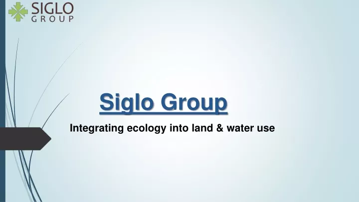 siglo group