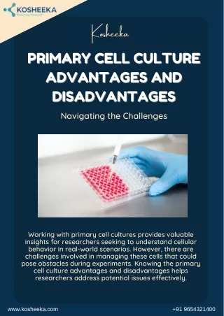 Primary Cell Culture Advantages and Disadvantages: Navigating the Challenges