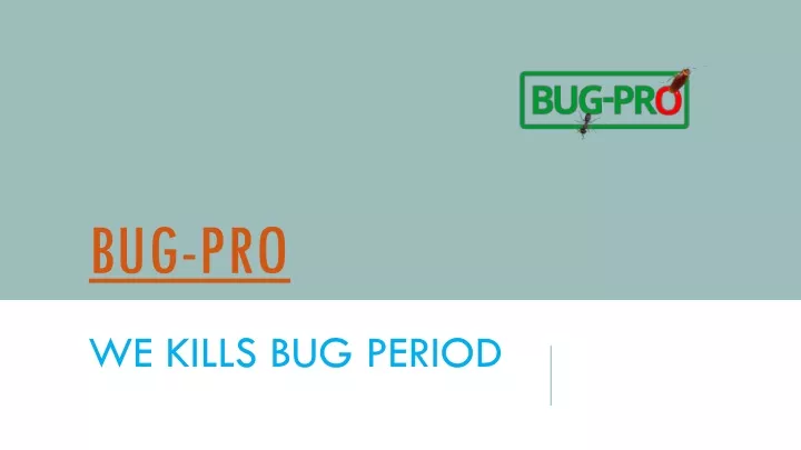 bug pro