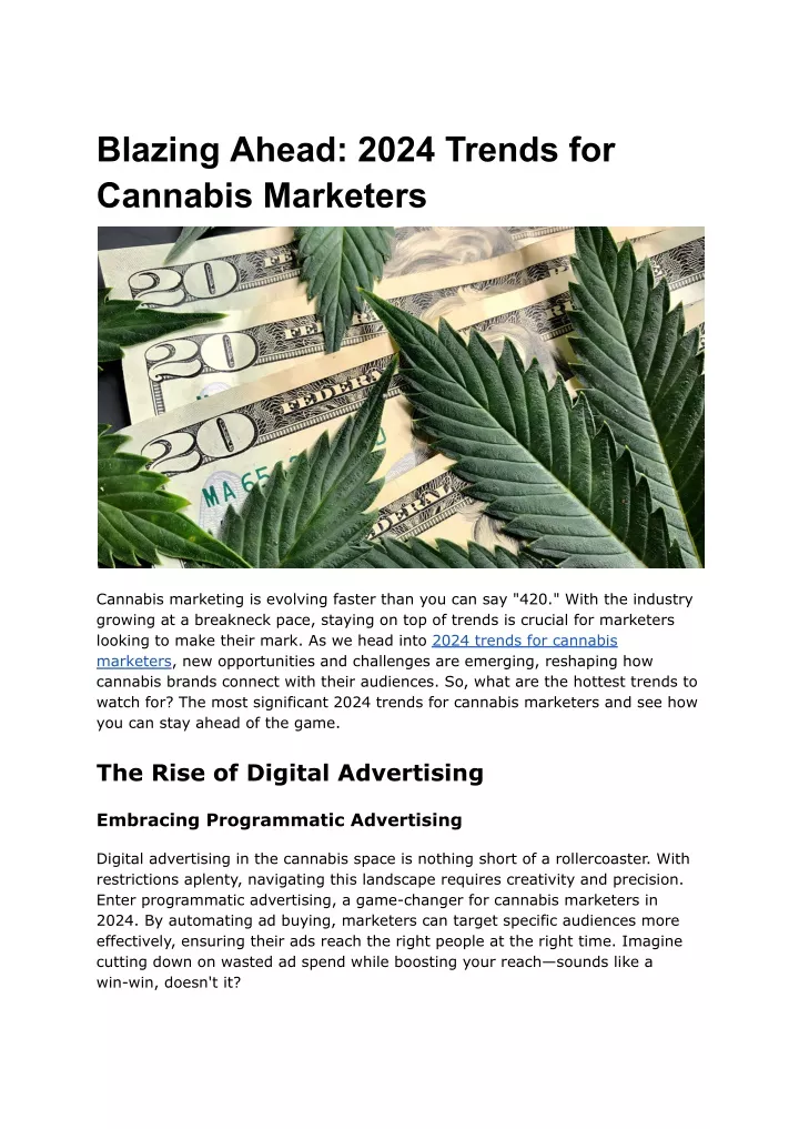 blazing ahead 2024 trends for cannabis marketers