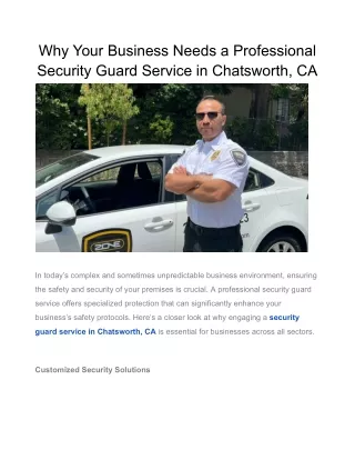 why your business needs a professional security