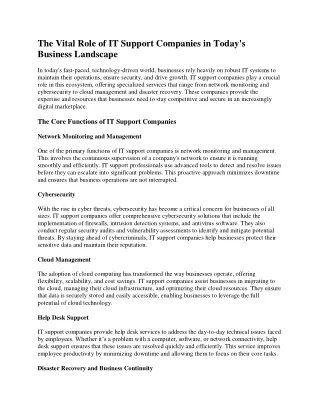 it support company (1)