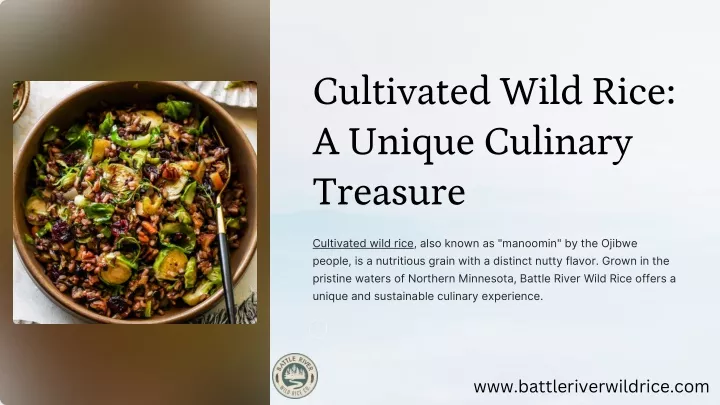 cultivated wild rice a unique culinary treasure