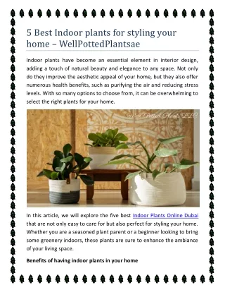 5 Best Indoor Plants for Styling Your Home | Well Potted Plants LLC