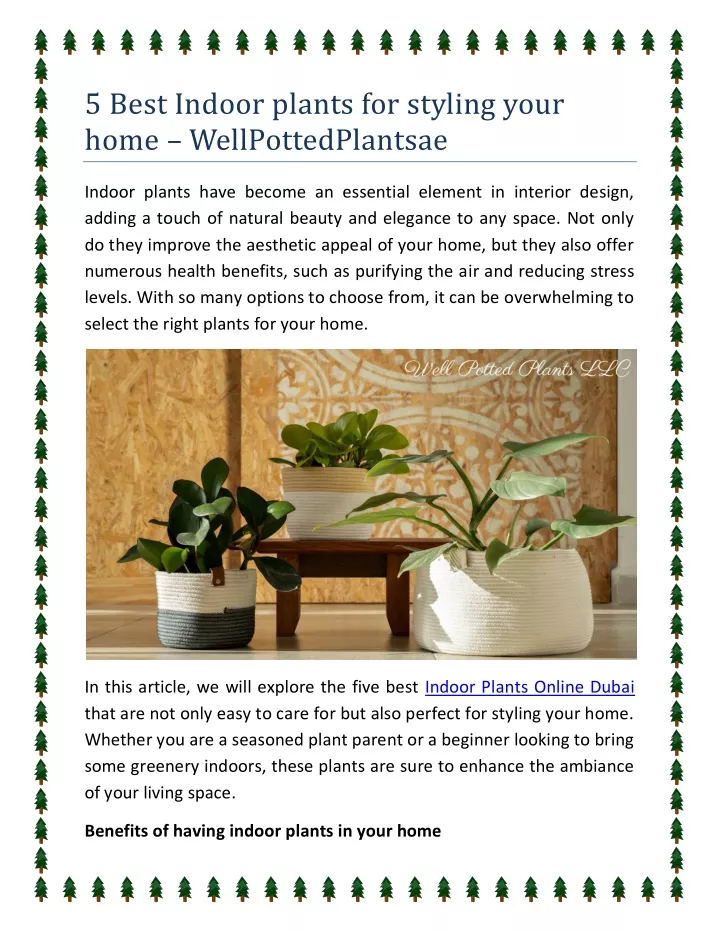 5 best indoor plants for styling your home