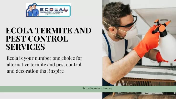 ecola termite and pest control services