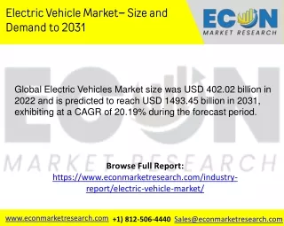 Electric Vehicle Market
