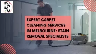 Expert Carpet Cleaning Services in Melbourne Stain Removal Specialists