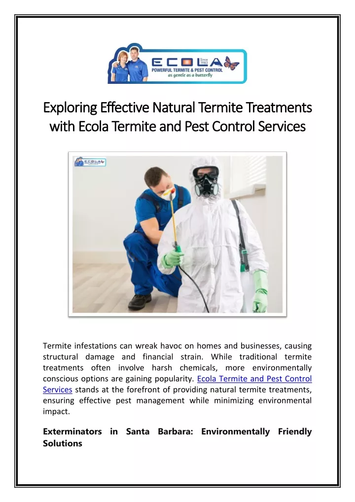 exploring effective natural termite treatments