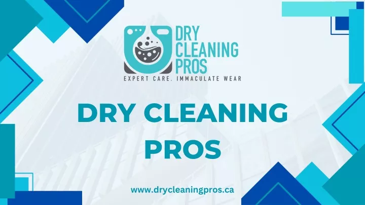 dry cleaning pros