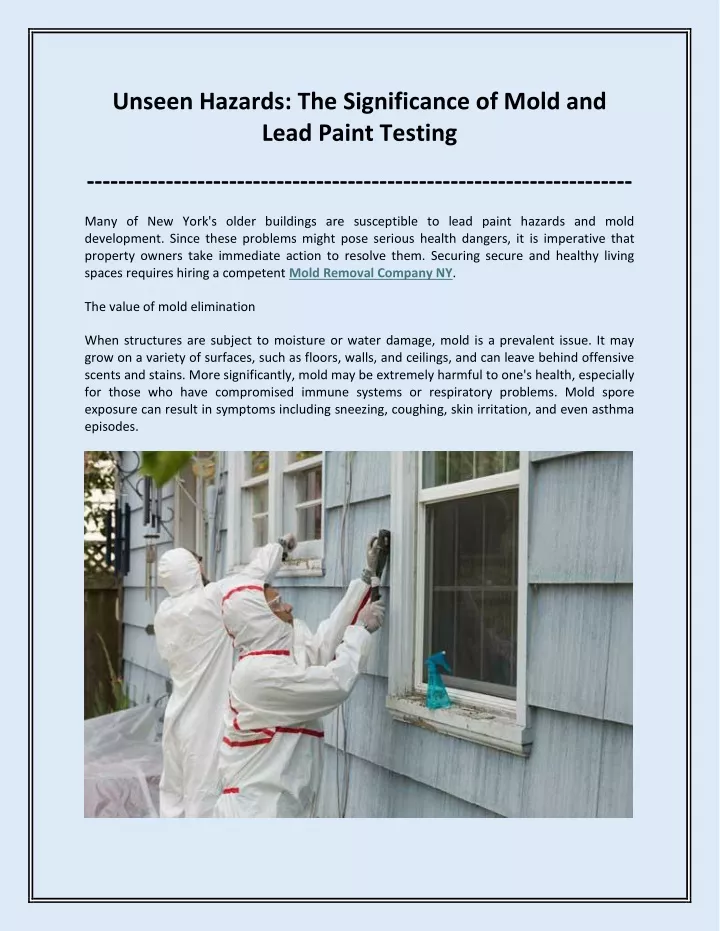 unseen hazards the significance of mold and lead