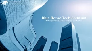 Blue Horse Tech Solution - Top Website Development & Digital Marketing in Jaipur