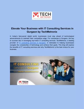 elevate your business with it consulting services