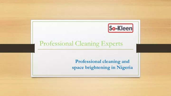 professional cleaning experts