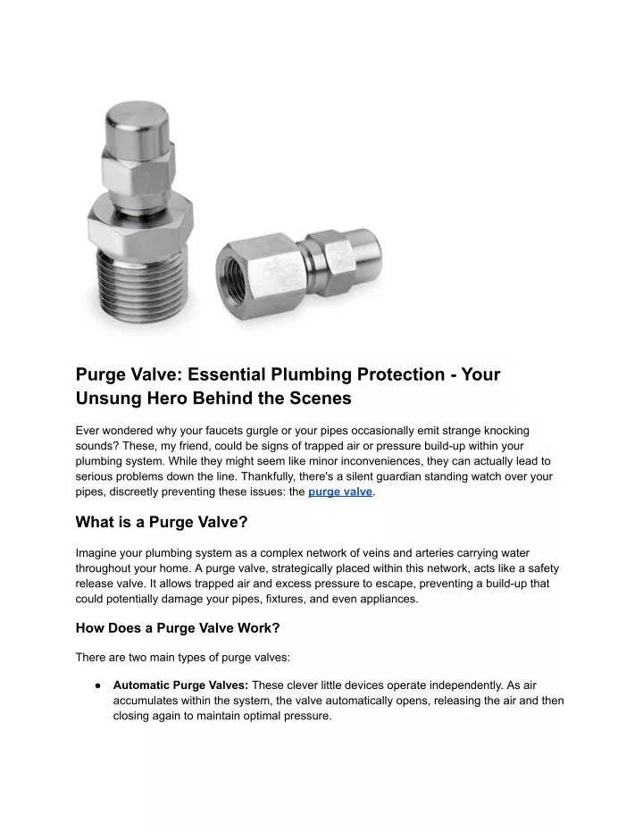 purge valve essential plumbing protection your