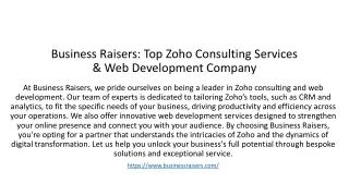 Business Raisers: Top Zoho Consulting Services & Web Development Company