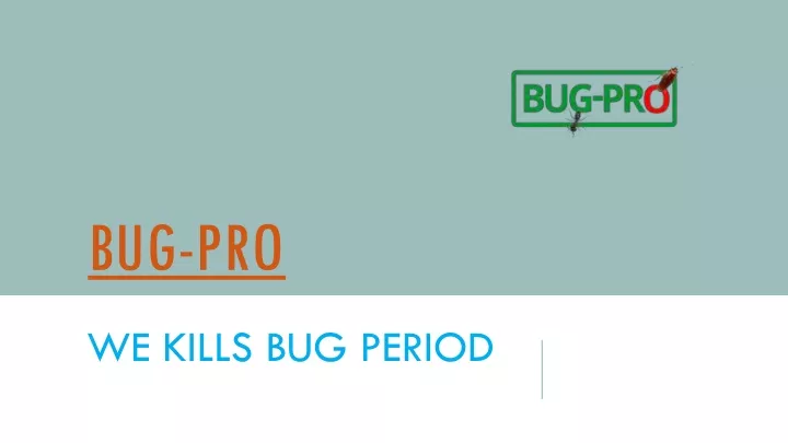 bug pro