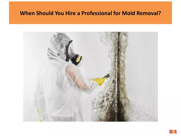 when should you hire a professional for mold removal