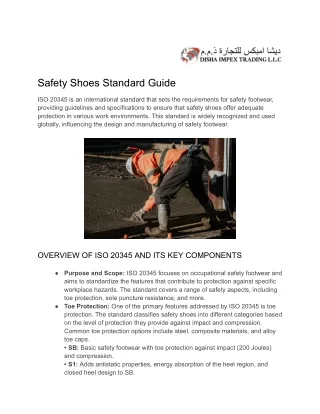 Safety Shoes Standard Guide