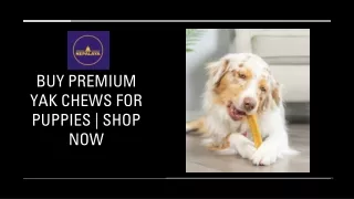 Buy Premium Yak Chews for Puppies | Shop Now