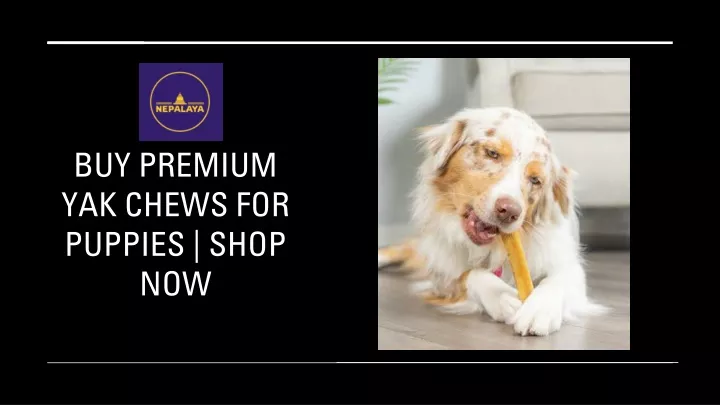 buy premium yak chews for puppies shop now