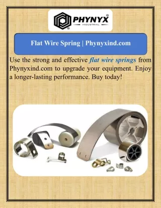 Flat Wire Spring   Phynyxind.com