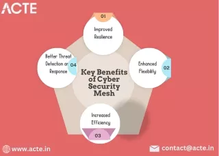 Cybersecurity Mesh - ACTE