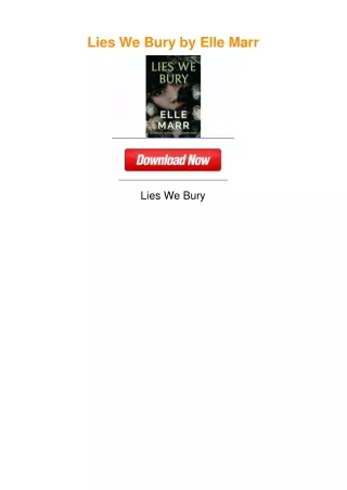 Lies We Bury by Elle Marr