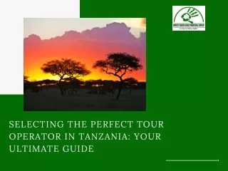 Selecting the Perfect Tour Operator in Tanzania Your Ultimate Guide