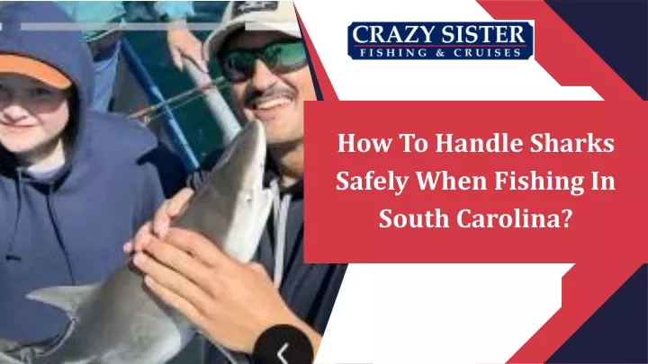 how to handle sharks safely when fishing in south