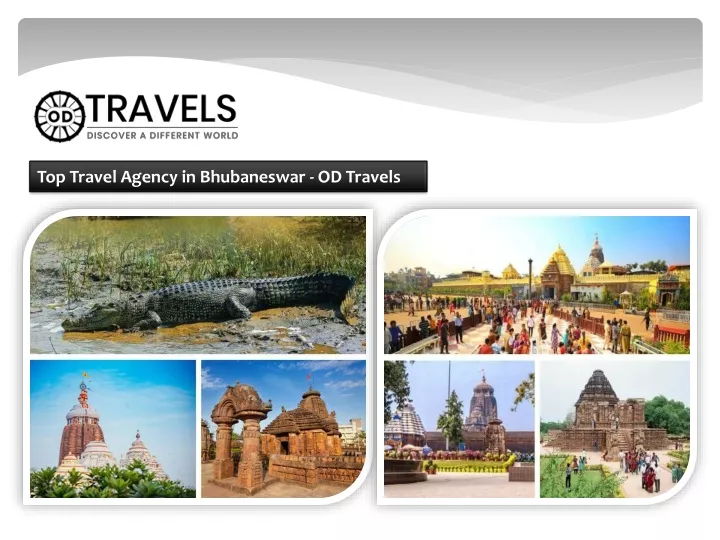 top travel agency in bhubaneswar od travels