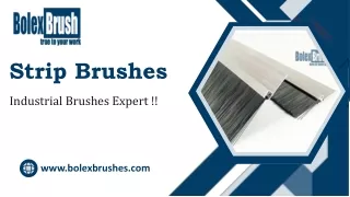 Strip Brushes