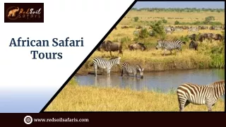 African Safari Tours