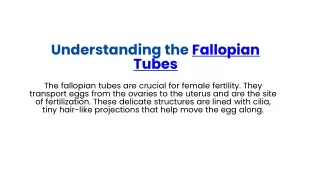 Understanding the Fallopian Tubes