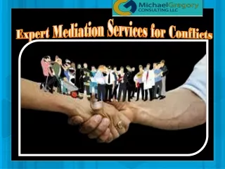 Expert Mediation Services for Conflicts