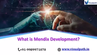 what is mendix development