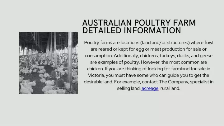 australian poultry farm detailed information