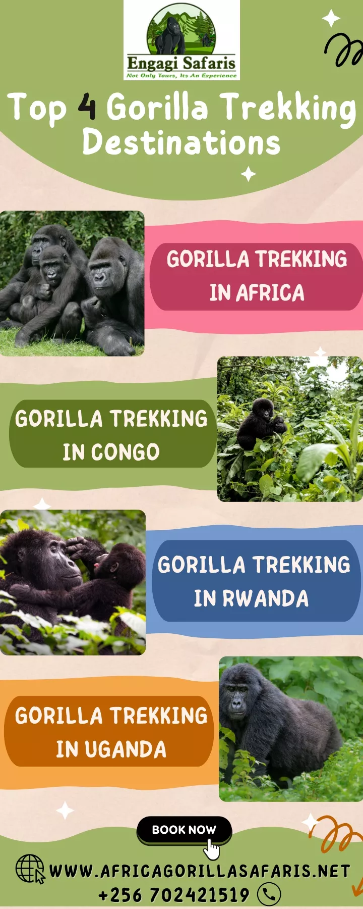 top 4 gorilla trekking destinations